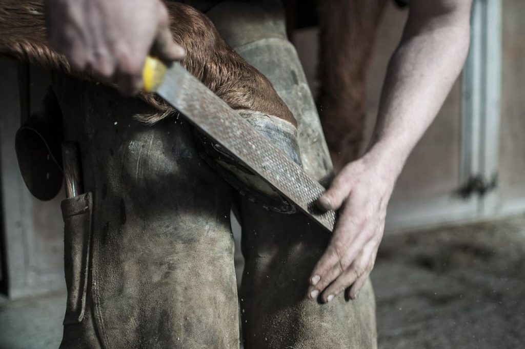 Lavoro nel 2019