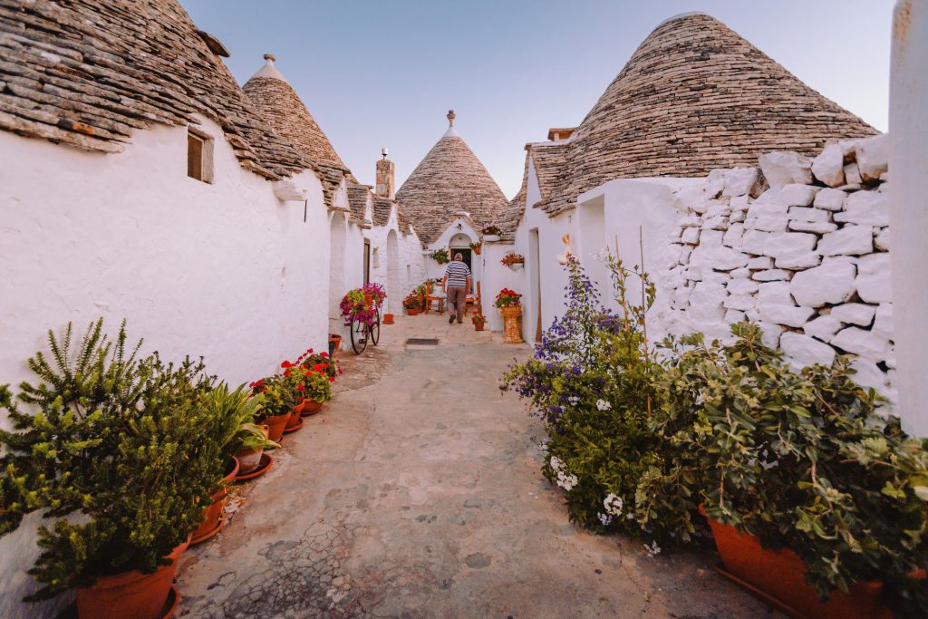 Puglia Albero Bello